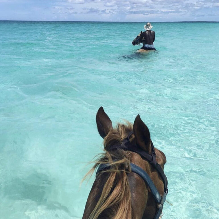 Pesca submarina en Harbour Island, Eleuthera y Spanish Wells