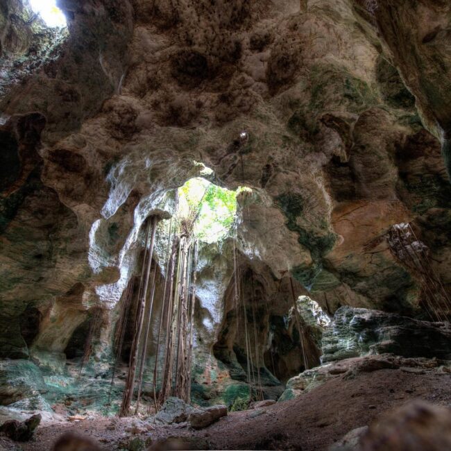 Cathedral Cave