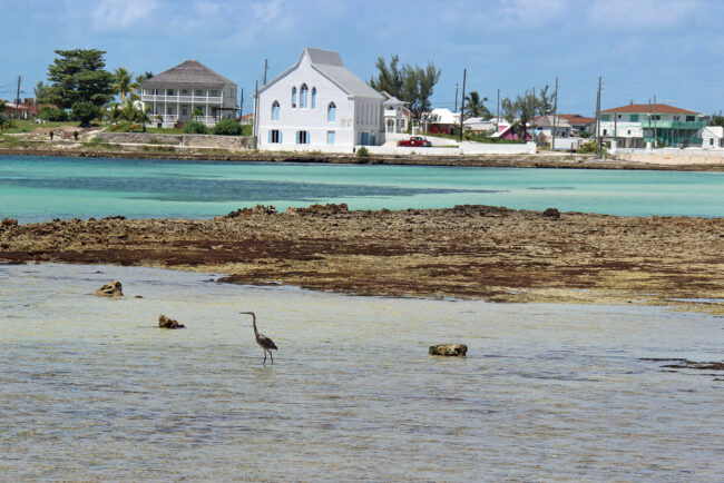 Cupids Cay Beach