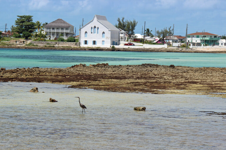 Cupids Cay Beach