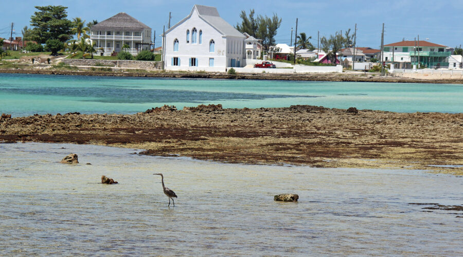 Cupids Cay Beach