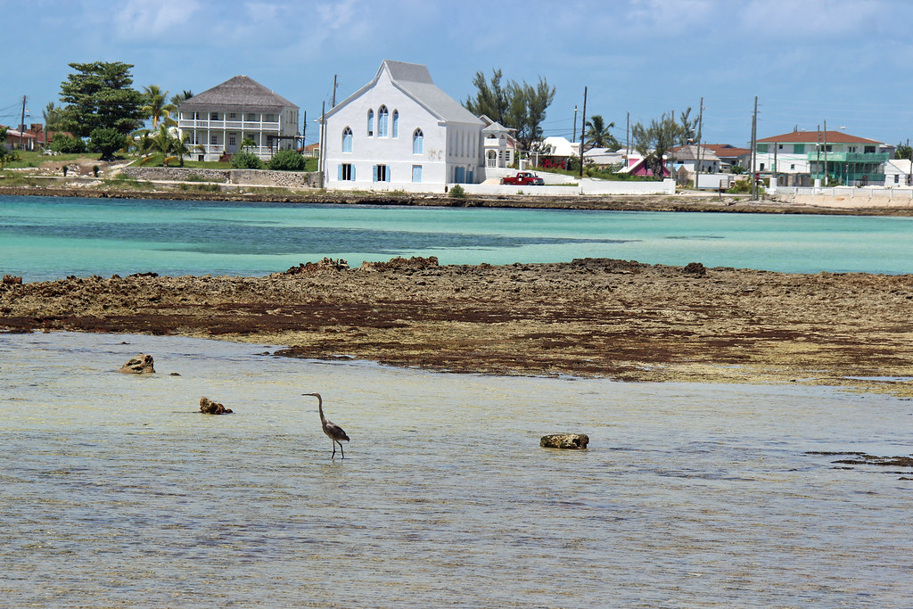 Cupids Cay Beach | Official Eleuthera Harbour Island