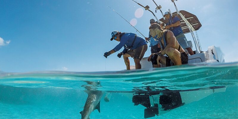Reef fishing Harbour Island