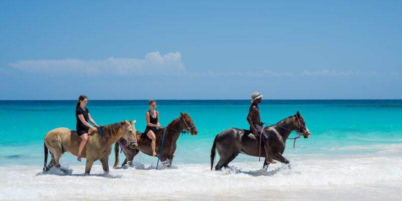 Horseback riding in Harbour Island. Sports activities on land.