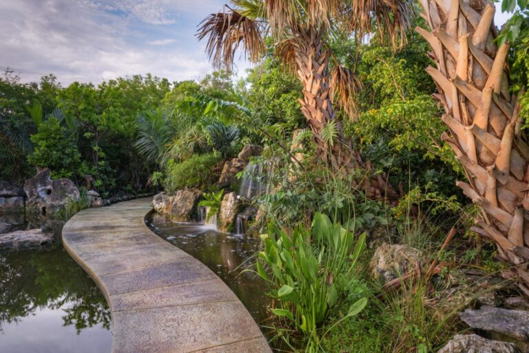 Leon Native Plant Preserve
