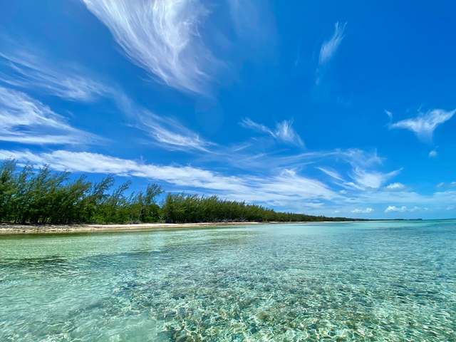 Tarpum Bay Beach | Official Eleuthera Harbour Island