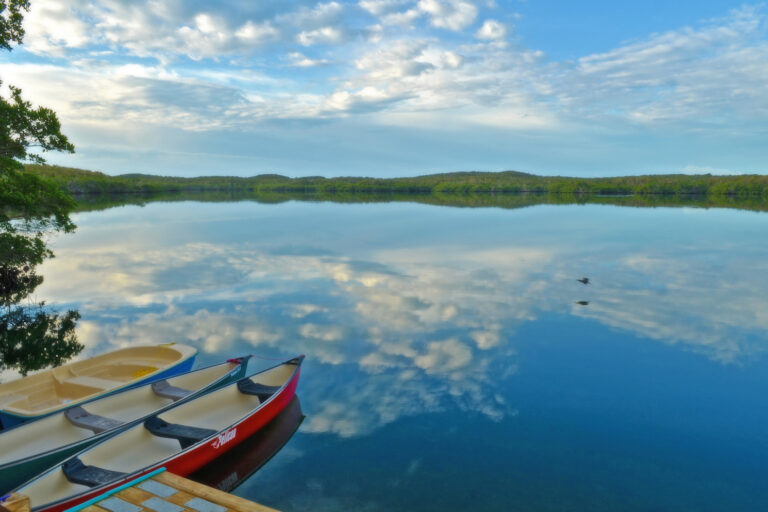 Edwin's Turtle Lake Marine Reserve