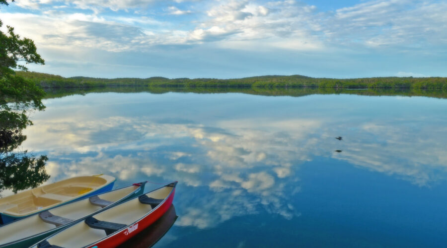 Edwin's Turtle Lake Marine Reserve