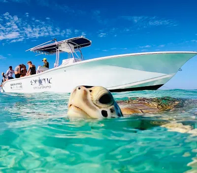 262879428_642196466968837_116510498078027831_n-396w