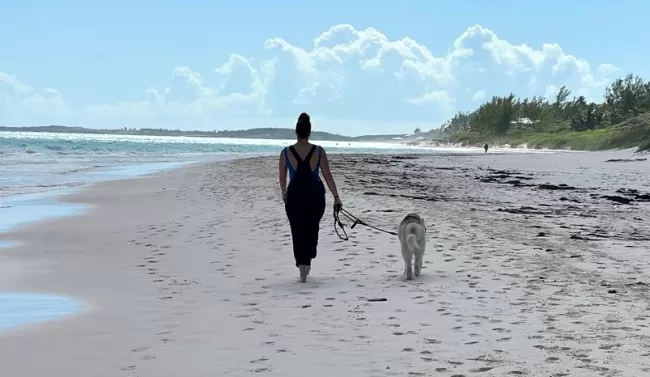 safety harbour island