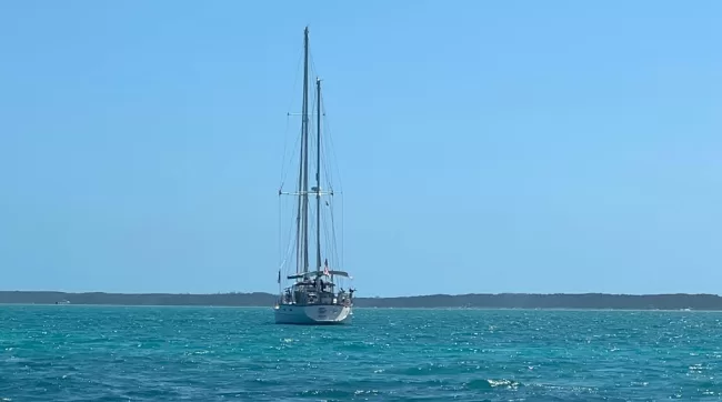 WhatsApp Image 2023-01-30 at 4.47.33 PM sail harbour island