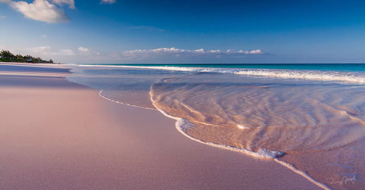 Eleuthera Bahamas and le Sable Rose