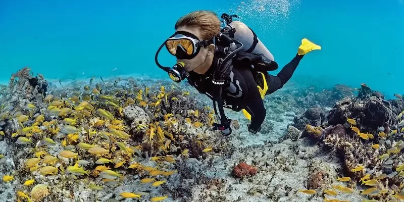 scuba-diving